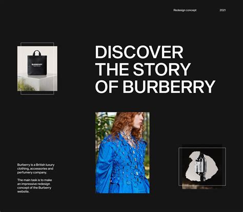 burberry usa website